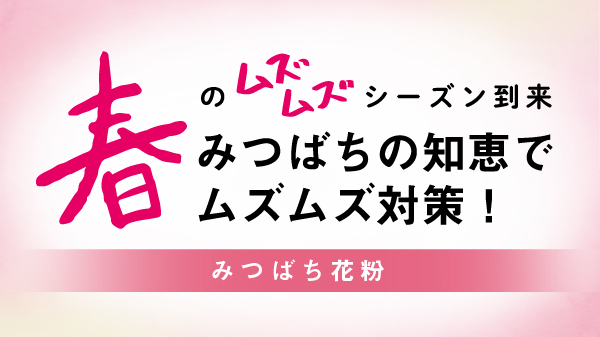 みつばち花粉 Beepollen