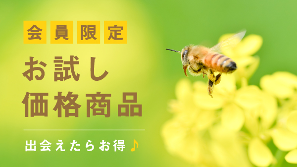 会員限定お試し商品