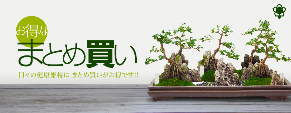 ハニーグラノーラ 100g 3袋セット