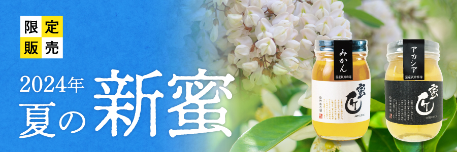 【新蜜】 蜜匠 国産 みかん 600g 予約販売(7月末お届け予定)
