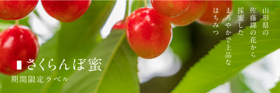 【限定】蜜匠 国産「さくらんぼ」はちみつ 180g 2本セット(箱付き)
